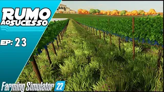 ACABEI COM TODAS MINHAS UVAS! | FARMING SIMULATOR 22 #23