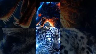 PITBULL VS TURKISH KANGAL, WOLF, CHEETAH, WHO'S GONNA WIN???