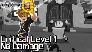 Kingdom Hearts HD 2.5 ReMIX - Burning Building Timeless River LV1 No Damage Battle (Requested)