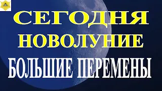 НОВОЛУНИЕ В ТЕЛЬЦЕ 8 МАЯ 2024.ЧТО НАС ЖДЕТ В ЭТО ВРЕМЯ?