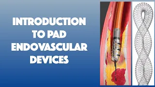 Intro to PAD Endovascular Devices