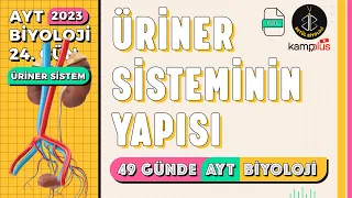 24) Üriner Sistemin Yapısı | Boşaltım Sistemi 11. Sınıf | 2023 AYT Biyoloji Kampı 24. Gün