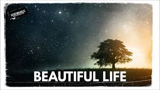 Inspiring Boom Bap Instrumental Type Beat - "Beautiful Life" | prod. by Screwaholic