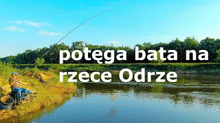 Potęga bata na rzece Odrze. Bat na trudne ryby. Zapływ w rynnie z ostrogi.