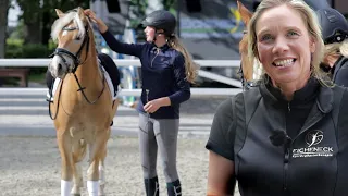 Untersuchung bringt neue Erkenntnisse - Haflinger wird zum Verlasspferd