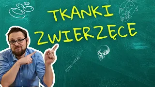 Tkanki zwierzęce - nabłonki, łączna, mięśniowa i nerwowa. Sama Radość