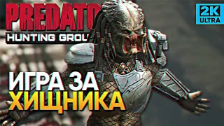 Обзор Predator Hunting Grounds прохождение Игра за Хищника