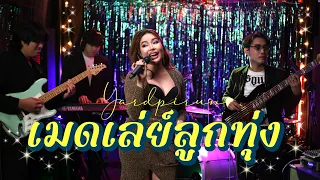 เมดเลย์เพลงลูกทุ่งมันส์ๆ Vol.1 - หยาดพิรุณ 🎤✨