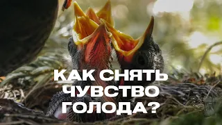 Как снять чувство голода?