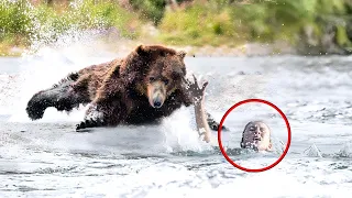 Frau kämpfte um Leben. Dann erschien dieser Bär und Tat das Unerwartete