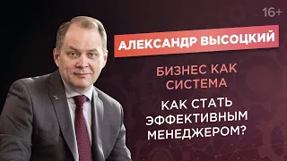 Александр Высоцкий. Система управления бизнесом. Как стать эффективным менеджером?