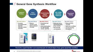 Fast, Cost-effective and High-throughput Solutions for DNA Assembly