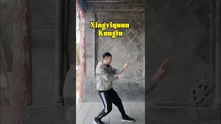 The basic fighting style of Xingyiquan #kungfu #xingyiquan