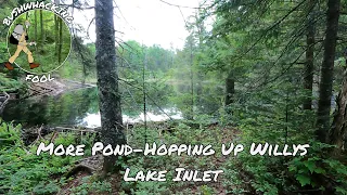 More Pond-Hopping Up Willys Lake Inlet | Five Ponds Wilderness