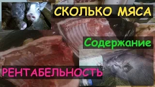 Сколько мяса в Вьетнамском поросёнке.Содержание.Рентабельность