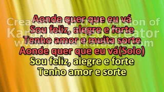 Marisa Monte - Feliz, Alegre e Forte Karaoke