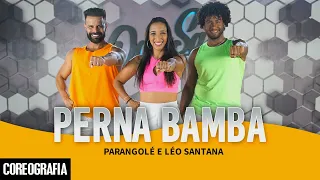 Perna Bamba - Parangolé e Léo Santana - Dan-Sa / Daniel Saboya (Coreografia)