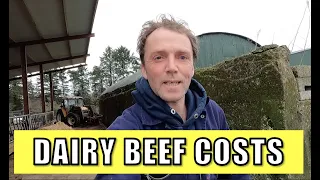 Costs on a dairy-beef farm