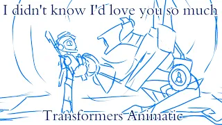 I Didn't Know I'd Love You So Much | Transformers Animatic [RBA/MTMTE]