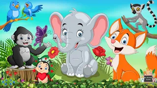 Lovely Animal Sounds: Lemur, Gorilla, Elephant, Bird, Fox, Elephant - Cute Little Animals