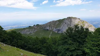 Transhumance Col des Palomières   28 05 2022