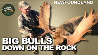 Epic Moose Hunt in Newfoundland | Canada in the Rough