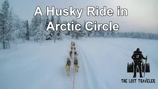 Husky Ride In Lapland Arctic Circle