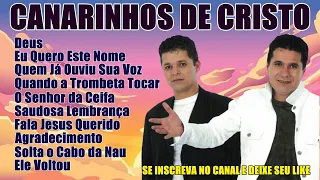 OS MELHORES LOUVORES DE CANARINHOS DE CRISTO