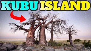 Kubu Island, Botswana: Top Thing To Do and Visit