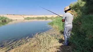 Арнасой да балик ови.