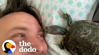 Turtle Is His Dad's Shadow And He's Obsessed With Looking Deep Into His Eyes | The Dodo Soulmates