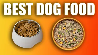 Best Dog Food: How To Feed Your Puppy A Clean Diet.