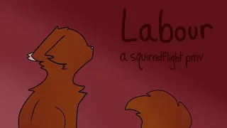 Labour-Squirrelflight PMV