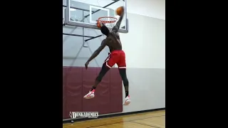 SOME CRAZY DUNKS FOR YOU!!!