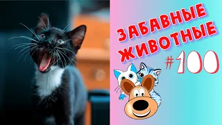 Приколы с Животными #100 / Смешные Животные 2020 / Приколы / Приколы про Животных / Лучшие Приколы