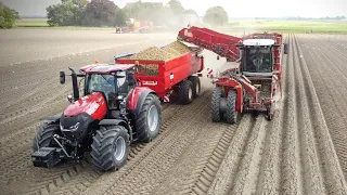 GRIMME VARITRON 270+470 | Aardappels rooien | oogst 2022 | Potato harvest | Kartoffelernte