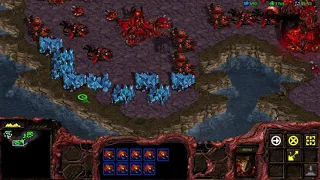 Starcraft: 1 Zerg vs 7 Random Computers