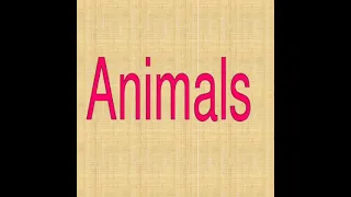 Animals тварини вчимо англійською  з дітьми
