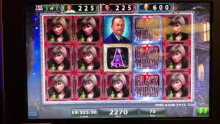Large Jackpot Black Widow Slot Machine | The Big Jackpot