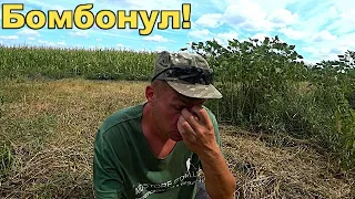 Неожиданно бомбонул сегодня!