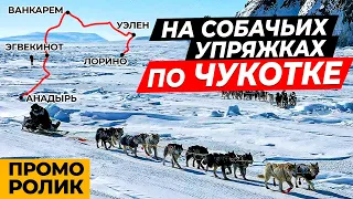 Гонка на собачьих упряжках "Надежда 2021" Чукотка  1100 километров по тундре  Чукотская ездовая