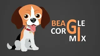 Beagle Corgi Mix-Информация о породе собак