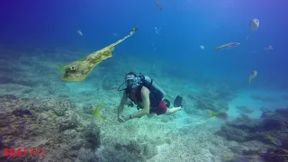 Dive Sites in Punta Cana-SeaPro Divers