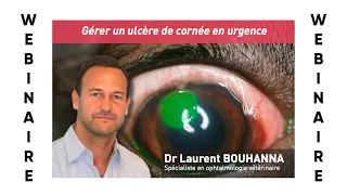 Webinaire #2 : Gérer un ulcère de cornée en urgence