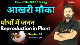 Reproduction In Plants Class 12 | पौधे में जनन | Biology | Chapter 3 | Neet 2022 | Board Exam 2022