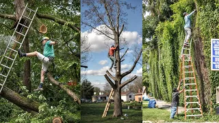 Funniest Tree Cutting Fails 10