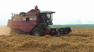 Уборка пшеницы. на Бузацкой гаре полессе GS10/ GS12