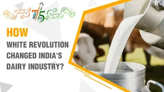 India@75: How White Revolution changed India's dairy industry