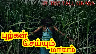IN THE TALL GRASS FULL MOVIE STORY EXPLAINED IN TAMIL