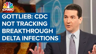 Dr. Scott Gottlieb on Covid: CDC isn't tracking breakthrough delta infections